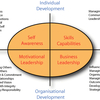 MBA-MANAGERS-LEADERS-Software