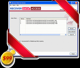 Access Database Recovery