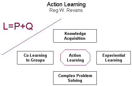 Action Learning Software MEGA