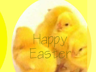 Animated Easter Chickens Screensaver