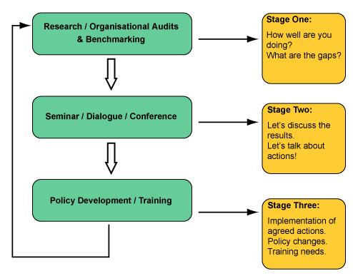 Audit Framework Software