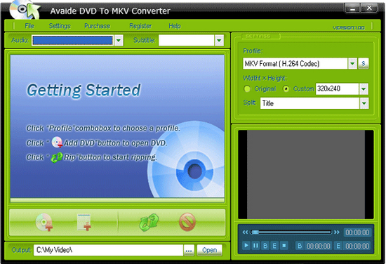 AVAide DVD to MKV Converter