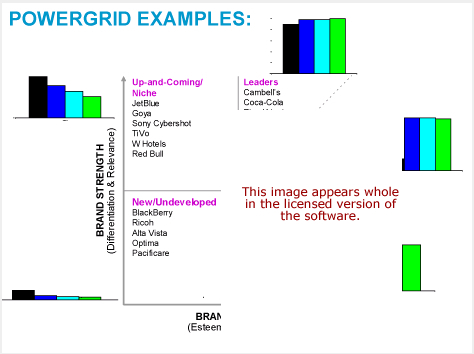 Brand Powergrid Software