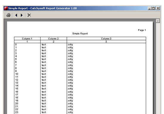 Catchysoft Report Generator