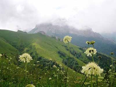 Caucasus_Mountain02