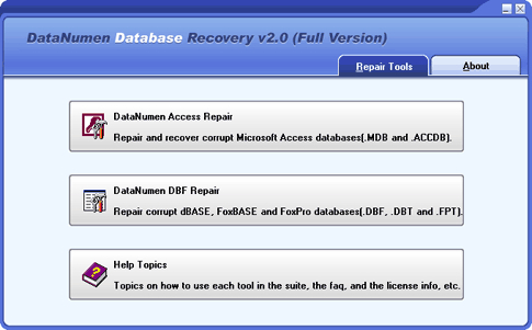 DataNumen Database Recovery