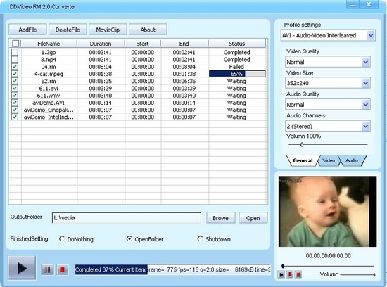 DDVideo RM Video Converter