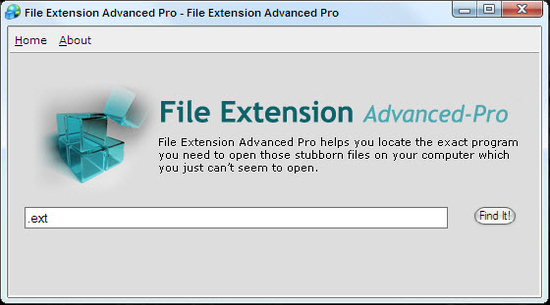 File Extension Advanced Pro