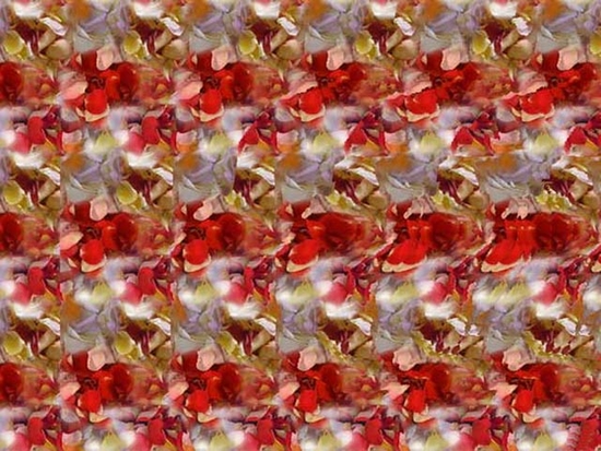 Free Stereogram Screensaver