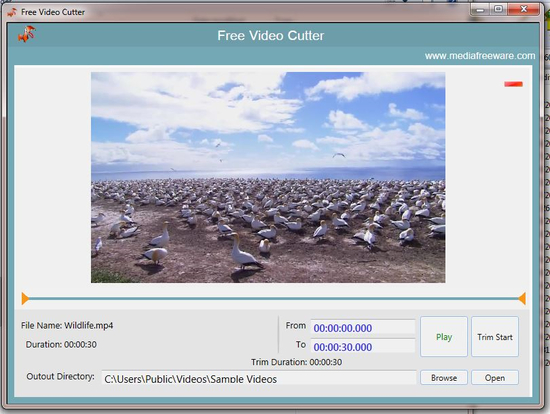 Free Video Cutter