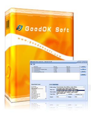 Good-OK Video Converter