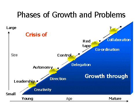 Greiner's Growth Model, Curve Software