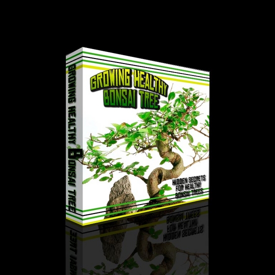 growing bonsai trees