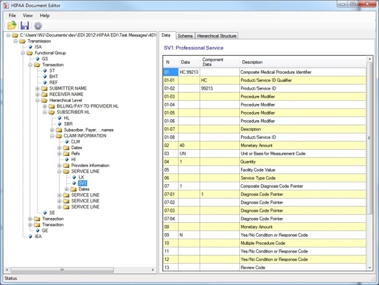 HIPAA File Editor