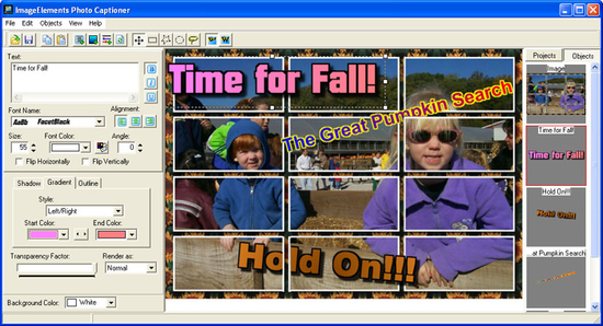 ImageElements Photo Captioner