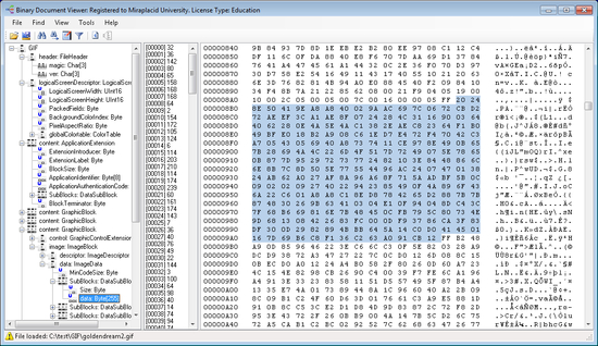 Miraplacid Data Viewer