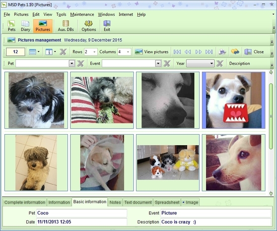 MSD Pets Multiuser