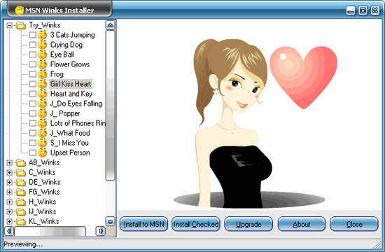 MSN Winks Installer