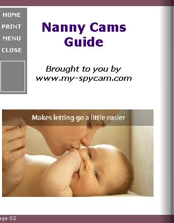 Nanny Cams