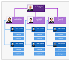 Nevron Diagram for .NET