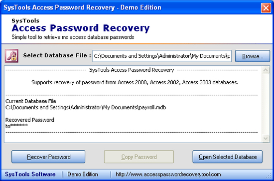 Password Recovery Tool