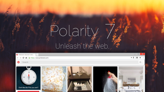 Polarity Browser