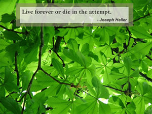 Quotes and Nature Screensaver