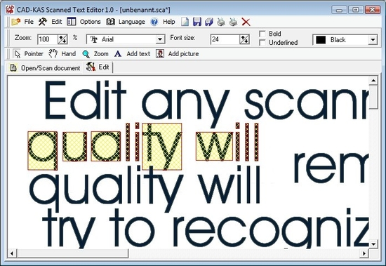 Scanned Text Editor