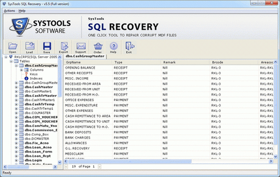 SQL Server Database Recovery