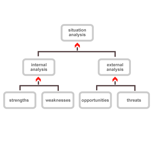 SWOT Analysis Software (Advanced)