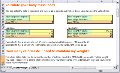 Weight Loss Program