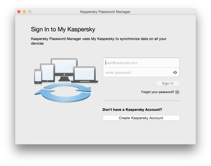 kaspersky password manager key