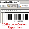 2D Barcode Custom Report Item