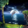 3D Jumping Dolphins Screensaver