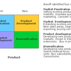 Ansoff Diversification (MBA)