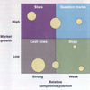 BCG Product Life Cycle (MBA)