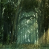 Dark Forest Animated Wallpaper