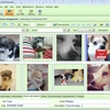 MSD Pets Multiuser