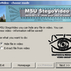 MSU StegoVideo