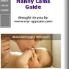 Nanny Cams