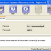 Pocket Excel Password Recovery