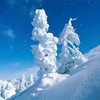 SaversPlanet Snowfall Screensaver