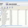 SQL Server Database Recovery