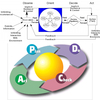 STRATEGY-CORE-COMPETENCIES-Software